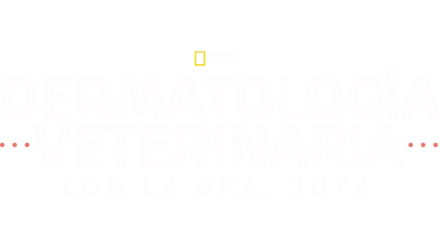 Dermatología veterinaria con la Dra. Joya