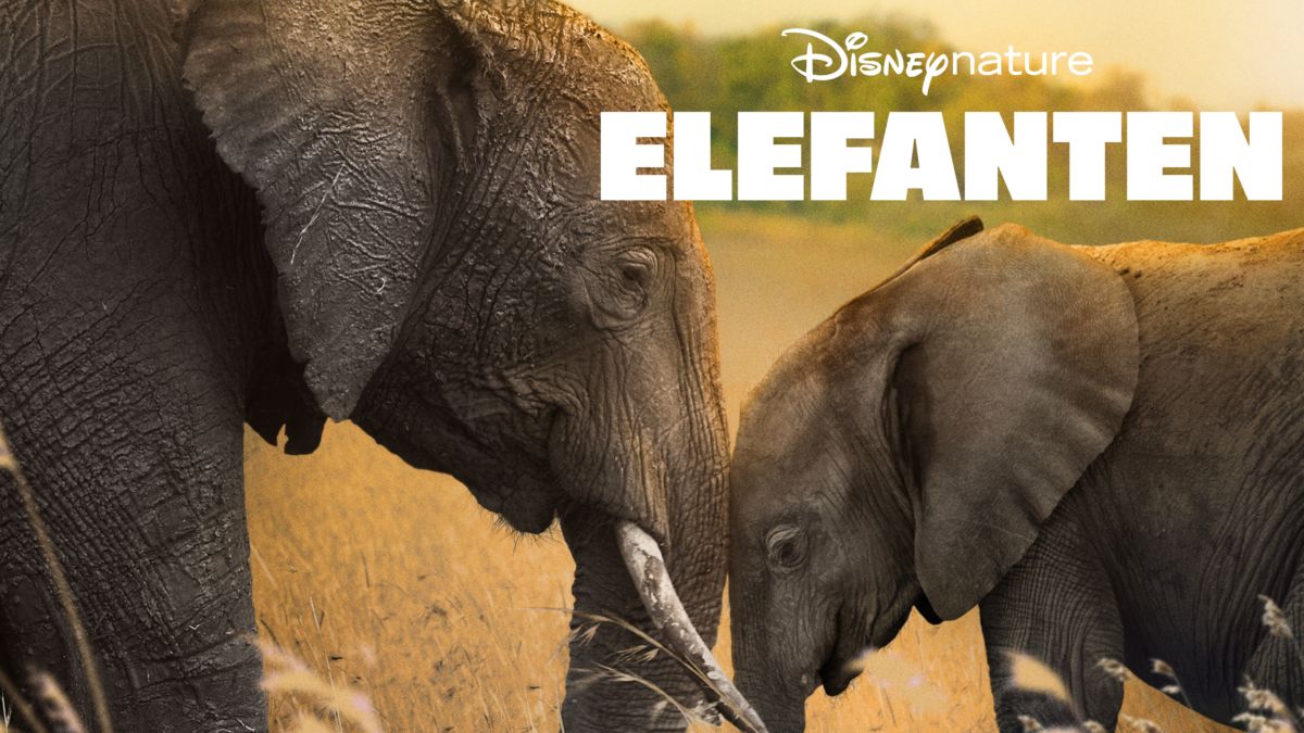 Elefanten streamen | Ganzer Film | Disney+