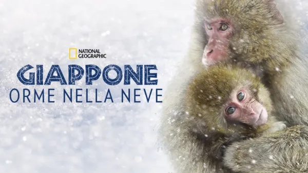 thumbnail - Giappone: Orme Nella Neve
