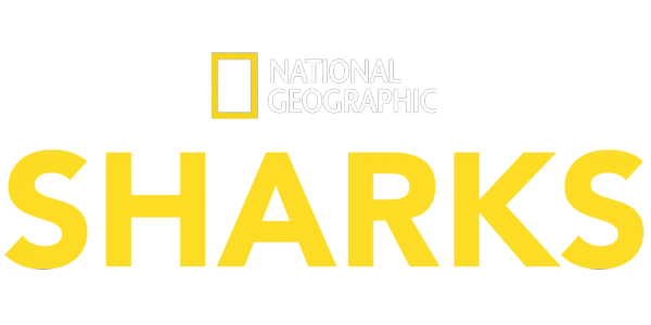 National Geographic: Sharks Title Art Image