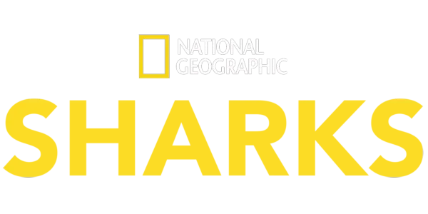 National Geographic Sharks