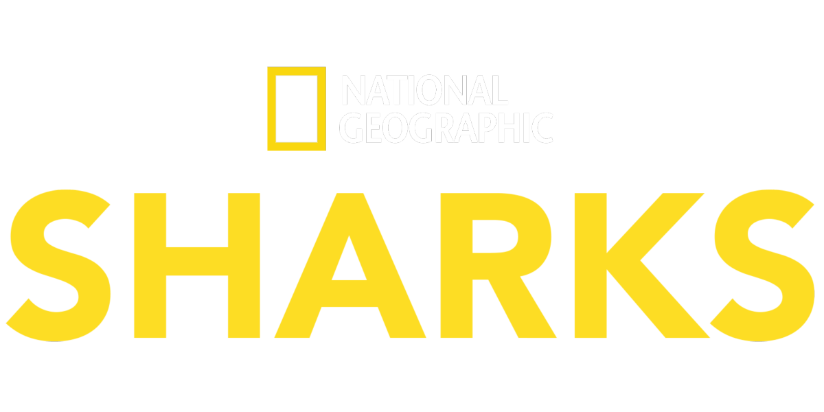 Watch National Geographic Sharks | Disney+