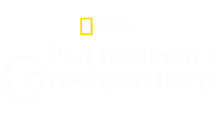 Pod hladinou s Cousteauem