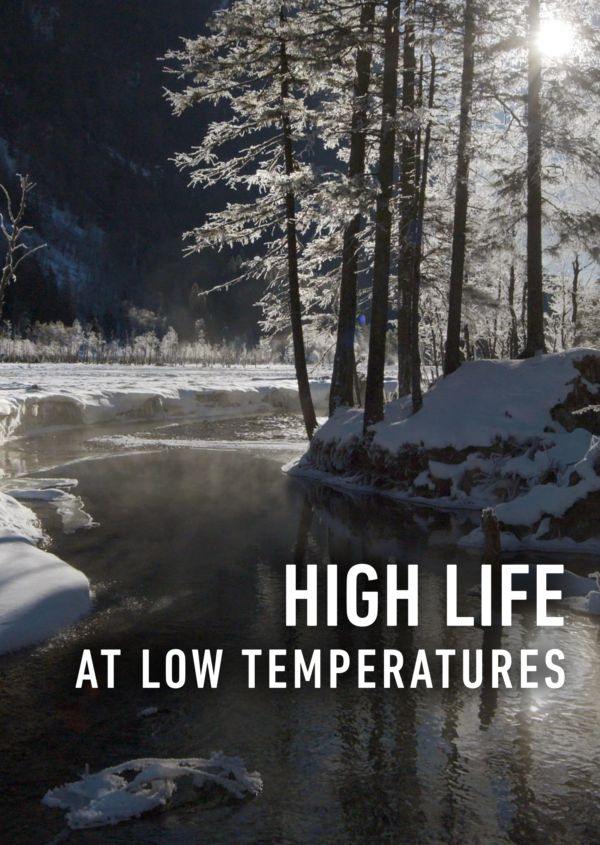 High Life at Low Temperatures on Disney+ NL