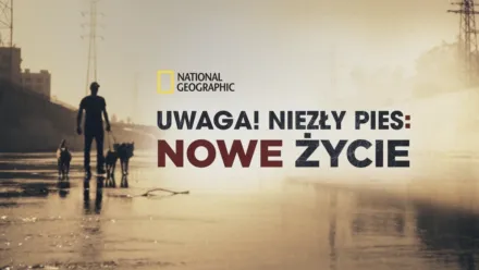 thumbnail - Uwaga! Niezły pies: nowe życie