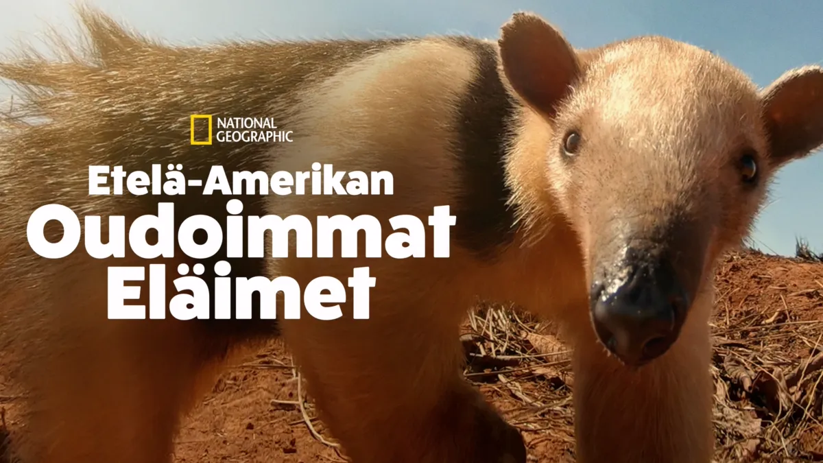 katso-etel-amerikan-oudoimmat-el-imet-koko-jaksot-disney