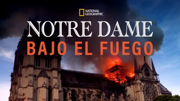 thumbnail - Notre Dame Bajo el Fuego