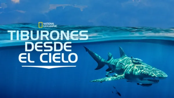 thumbnail - Tiburones desde el Cielo