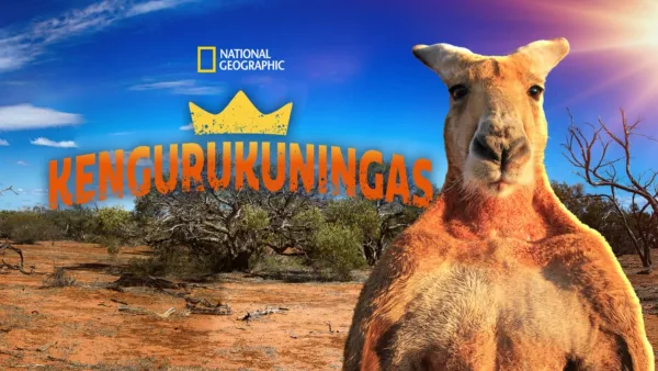 thumbnail - Kengurukuningas