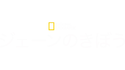 ジェーンのきぼう