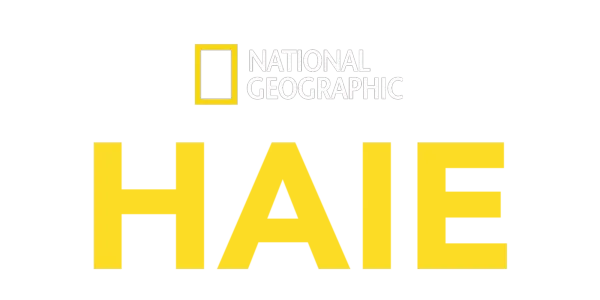 National Geographic – Haie Title Art Image
