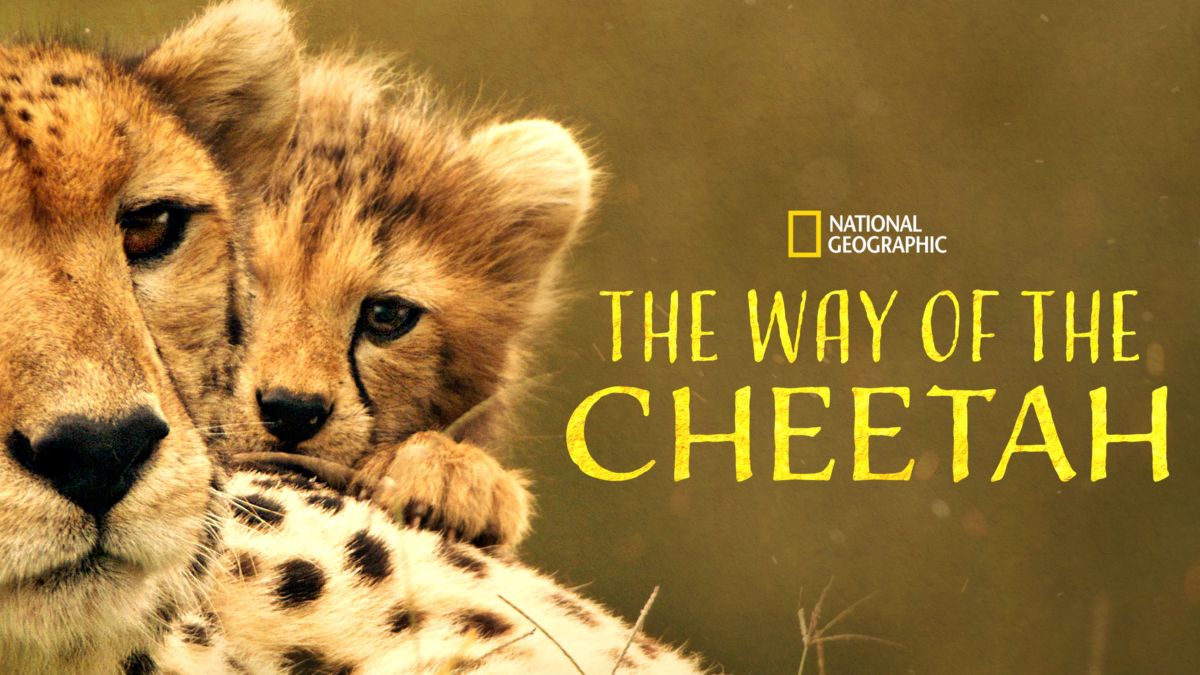 the way of the cheetah narrator