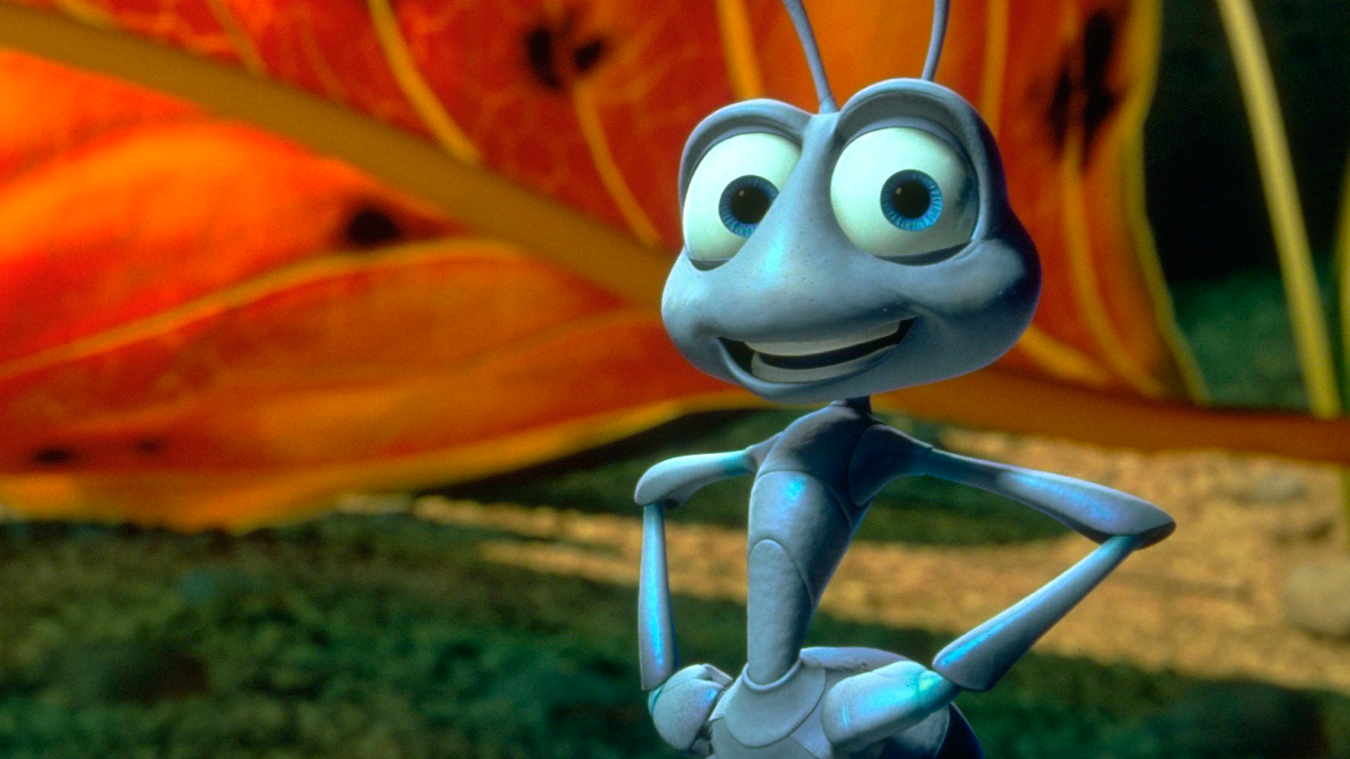 A Bug's Life