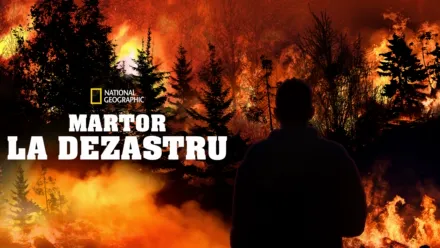 thumbnail - Martor la dezastru