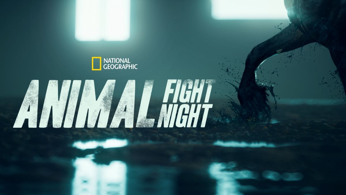 Watch Animal Fight Night | Disney+
