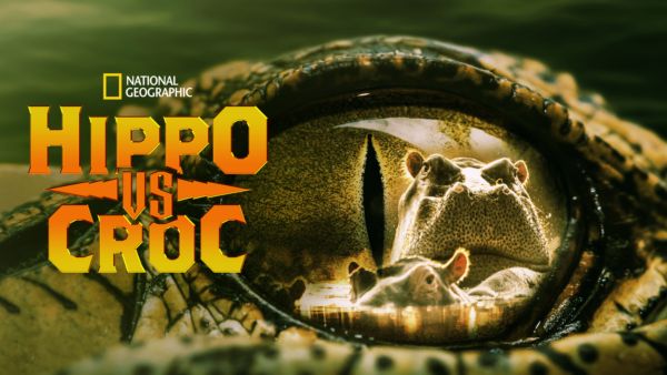 Hippo vs. Croc on Disney+ globally