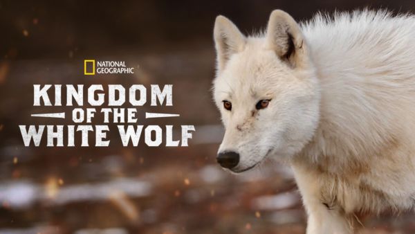 Kingdom of the White Wolf on Disney+ in the UK