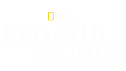 Regatul sălbatic