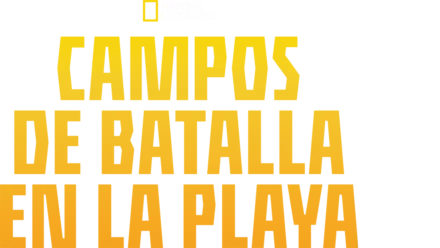 Campos de batalla en la playa