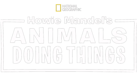 Howie Mandel's Animals Doing Things