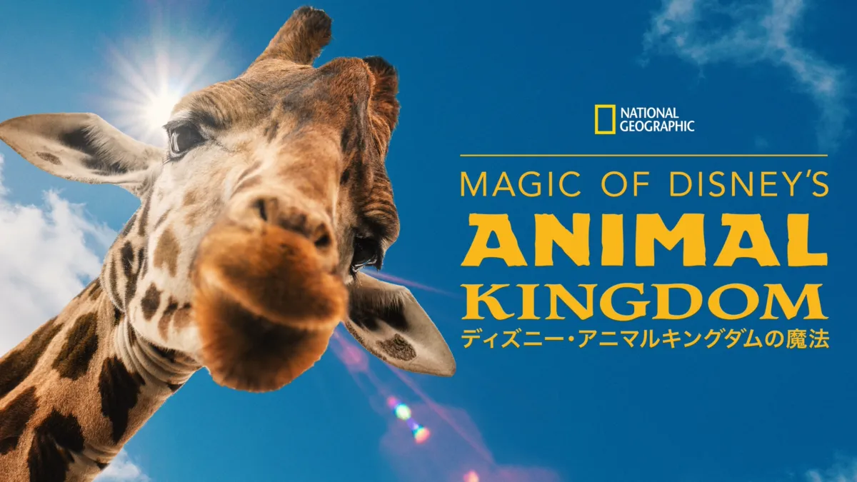 アニマルキングダム,animal kingdom,Disney,スプラッシュビンテージ