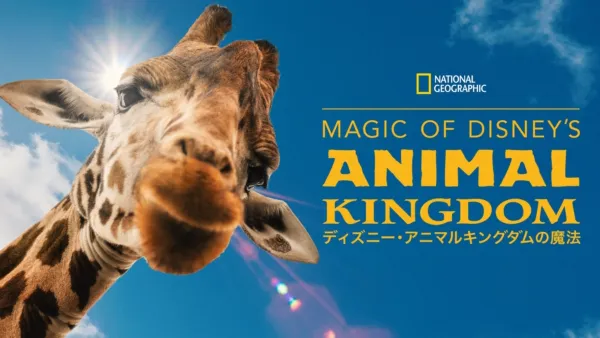 thumbnail - Magic of Disney’s Animal Kingdom　ディズニー・アニマルキングダムの魔法