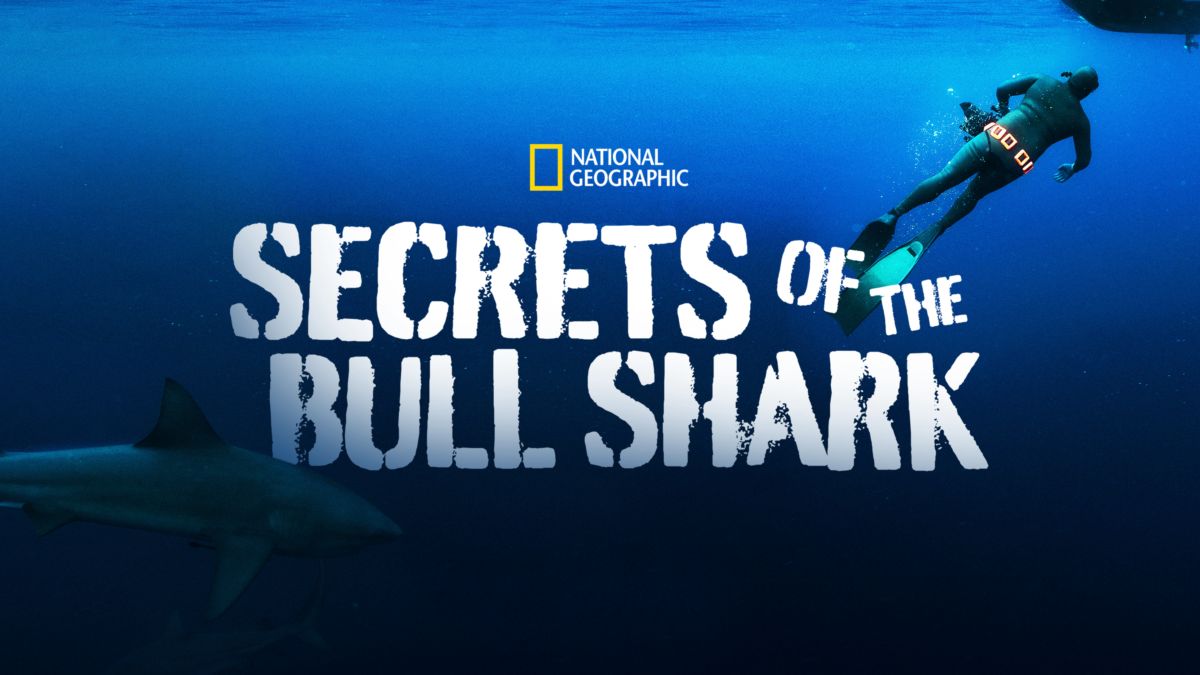 Watch Secrets of the Bull Shark Full movie Disney+