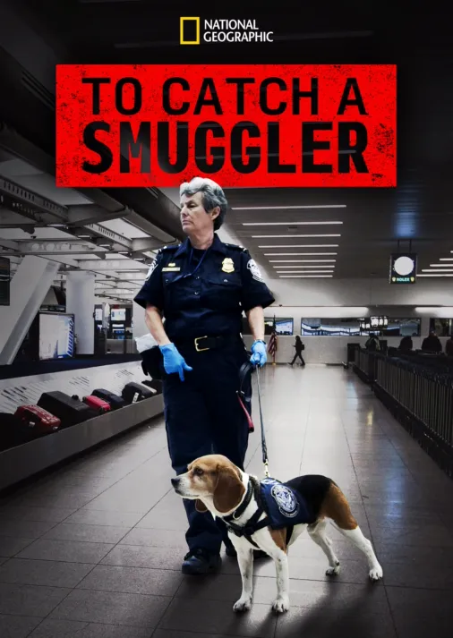 Watch To Catch a Smuggler Full Episodes Disney+