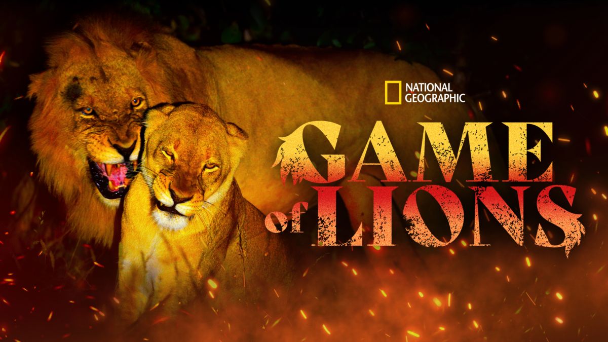 A Lion's Game (2024) - IMDb