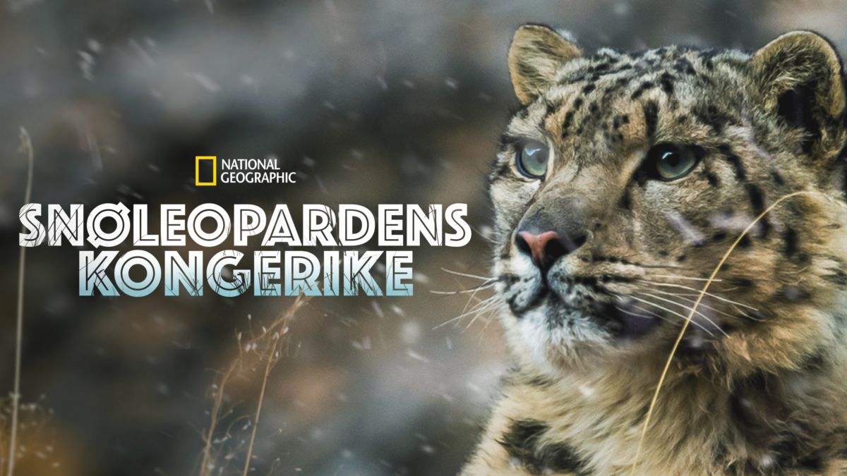 Snøleopardens kongerike | Disney+