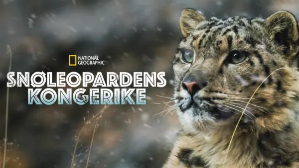 thumbnail - Snøleopardens kongerike