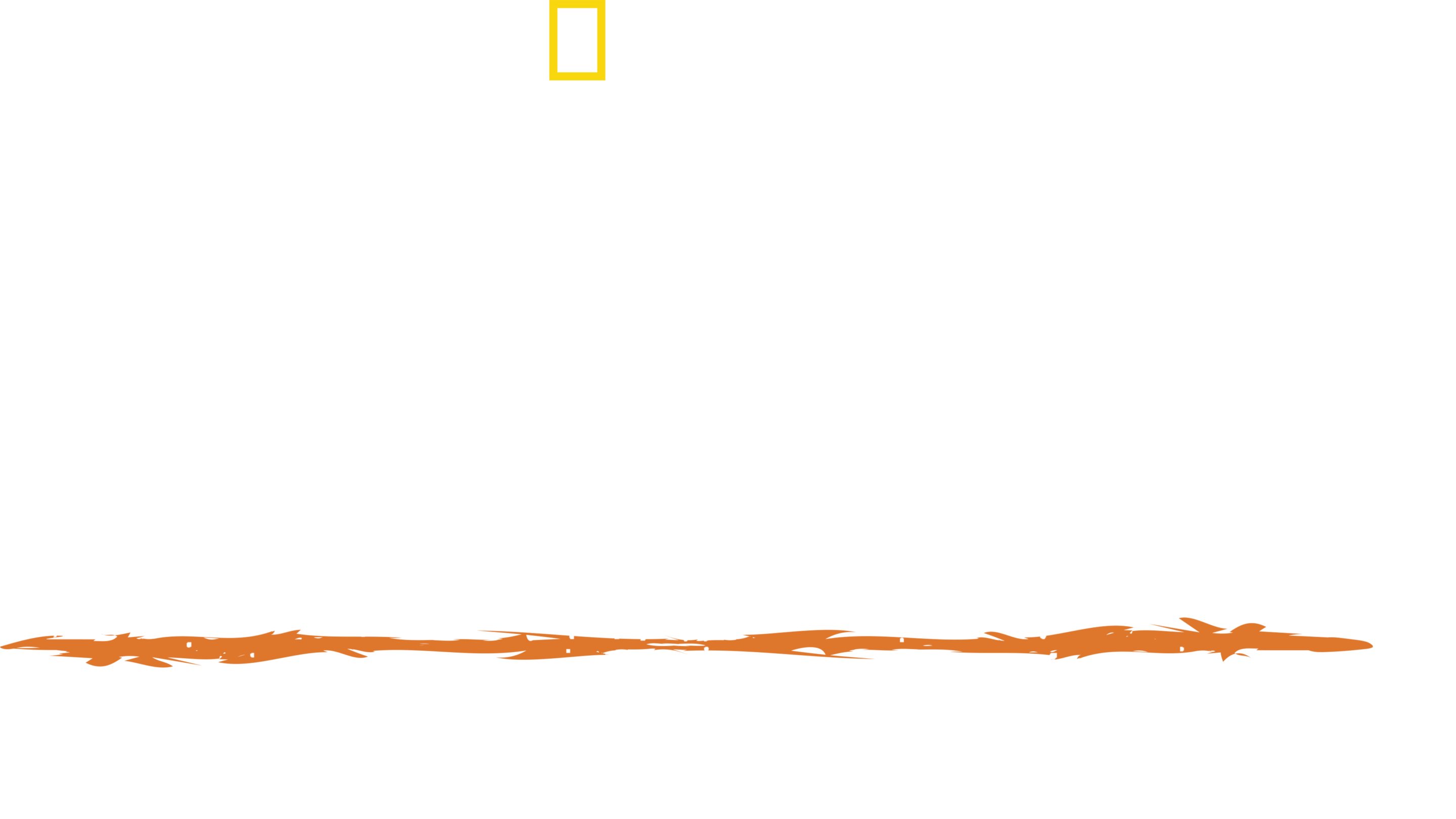 Primal discount survivor online