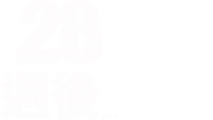 28週後…