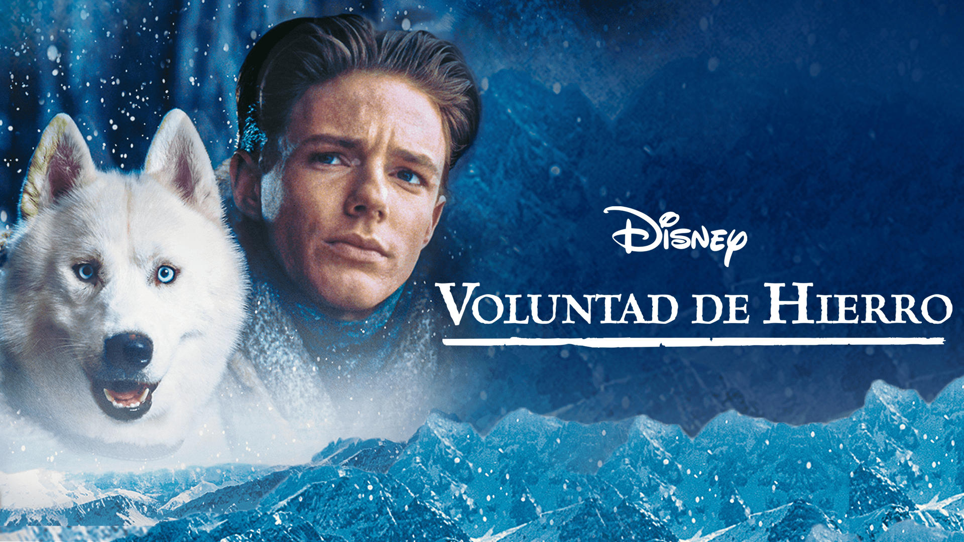 Ver Colmillo Blanco | Disney+