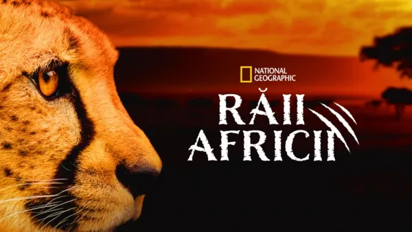 thumbnail - Răii Africii