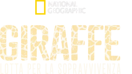 Giraffe: lotta per la sopravvivenza