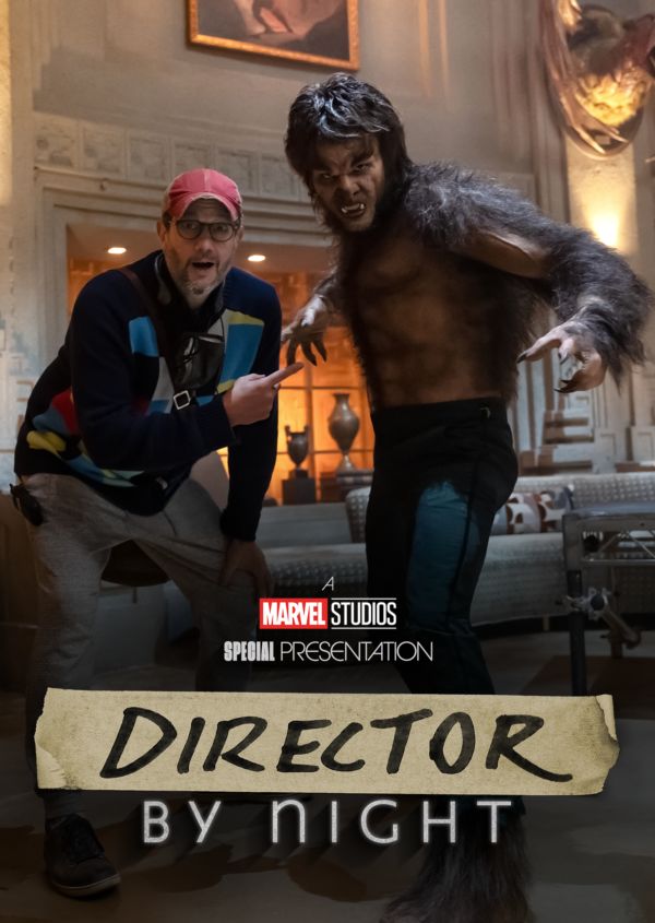 Director by Night on Disney+ AU