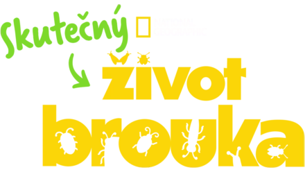 Skutečný život brouka