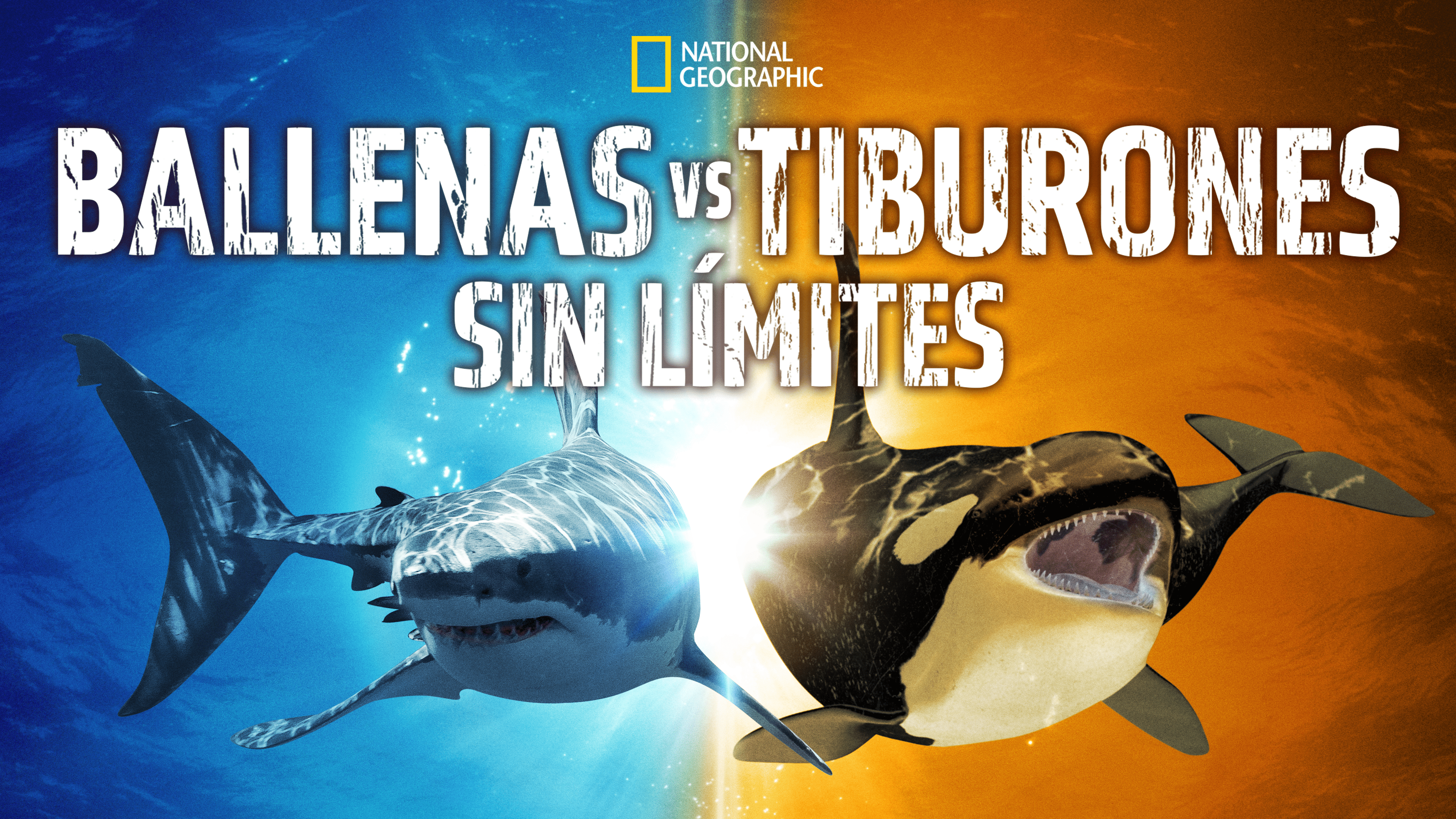 Ballenas Vs Tiburones: Sin Límites | Disney+