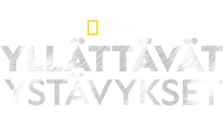 Yllättävät ystävykset