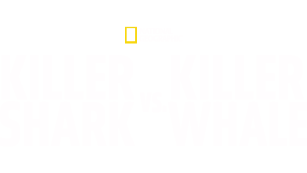 Killer Shark vs Killer Whale
