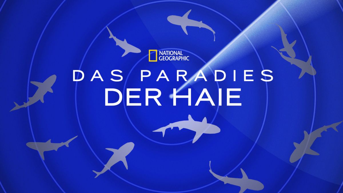 Das Paradies Der Haie Streamen Ganzer Film Disney