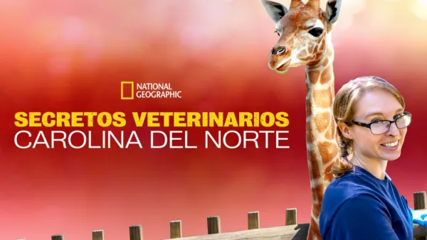 thumbnail - Secretos veterinarios: Carolina del Norte