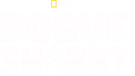Rogue Shark?