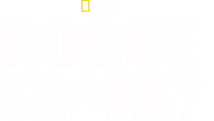 Rouge Shark?