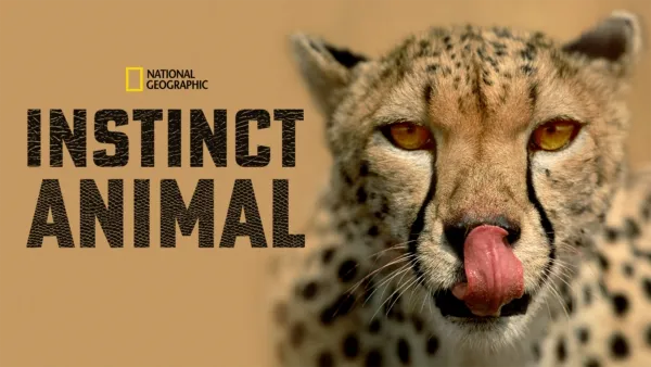 thumbnail - Instinct Animal