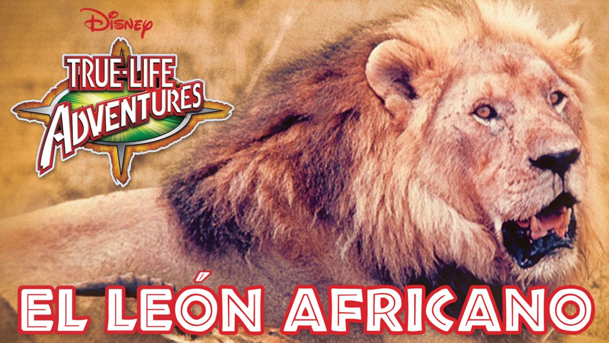 El León Africano | Disney+