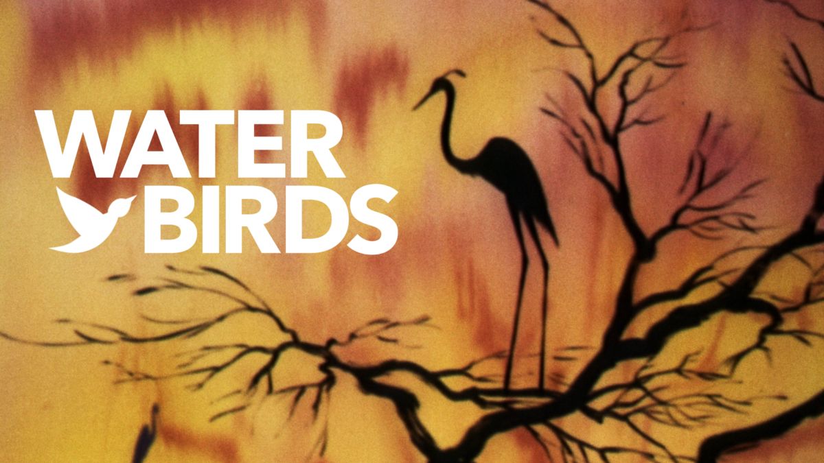 se-water-birds-disney