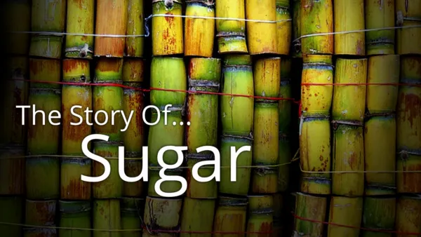 thumbnail - Story of... Sugar