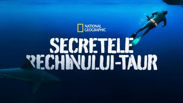 thumbnail - Secretele rechinului-taur
